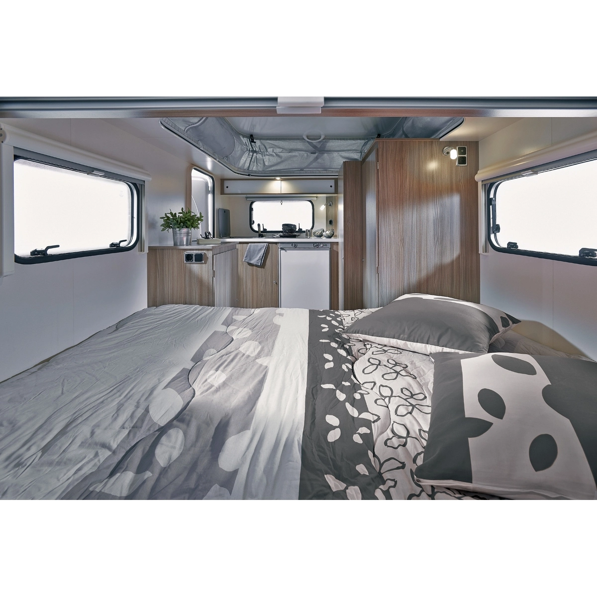 Polydon Savane 4 Polydon Savane – Image 2